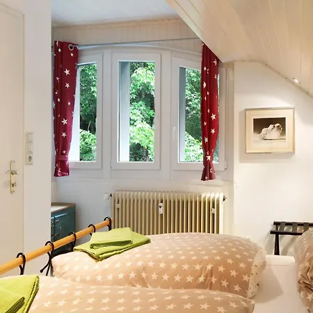 Feldbergstern Apartment *