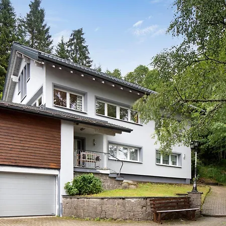 Feldbergstern *