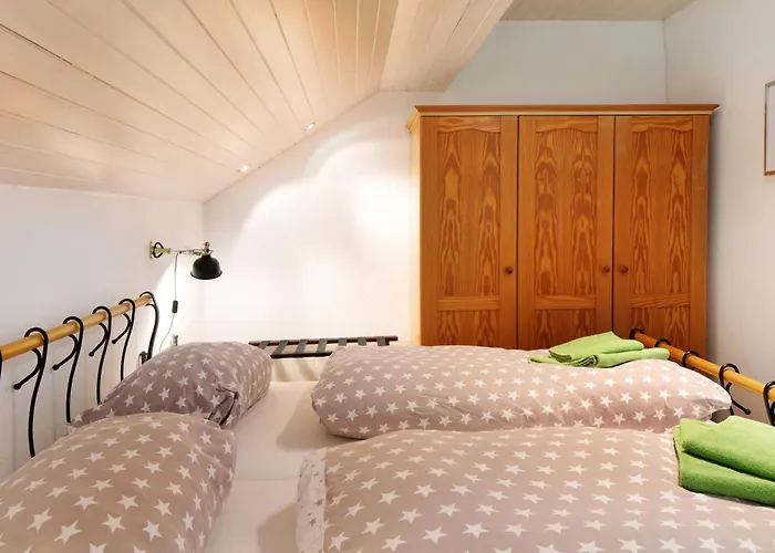 Feldbergstern Appartement *