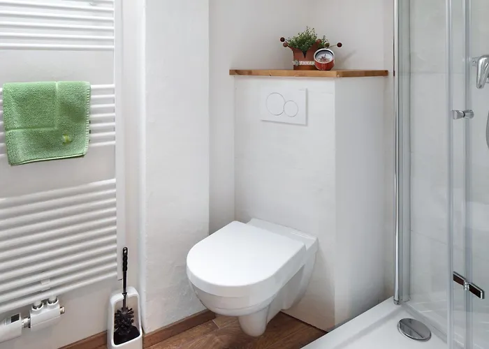 Feldbergstern Appartement Feldberg (Baden-Wurttemberg)