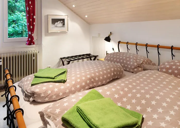 Feldbergstern Appartement *